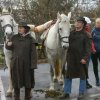 Blagoslov konj 2013_012